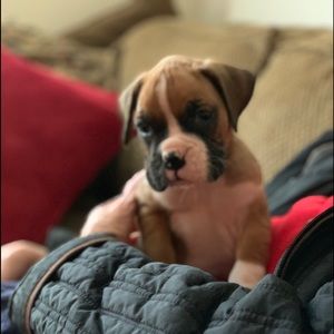 Meet your Posher, John